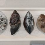 IMG_20231022_094257806